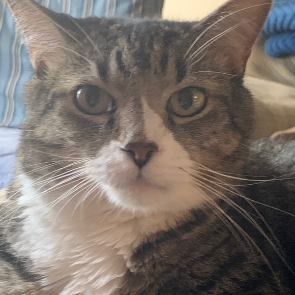 Meet your Posher, Amanda - Picture 1 of 1